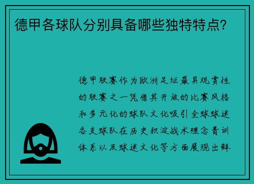 德甲各球队分别具备哪些独特特点？